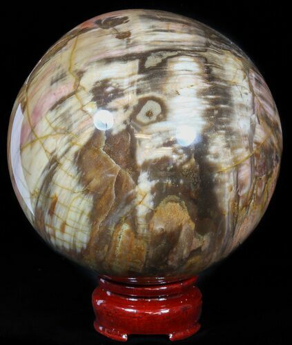 Colorful Petrified Wood Sphere #49771